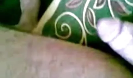 बिल्ली और गधा कमबख्त में संचिका सेक्सी पिक्चर सेक्सी में वीडियो गर्म महिला