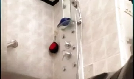 लड़की के शरीर चाट घास सेक्सी मूवी पिक्चर बीपी देने के लिए