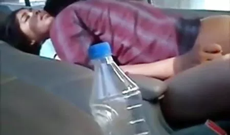 समलैंगिक हॉलीवुड सेक्सी पिक्चर ट्रेनर