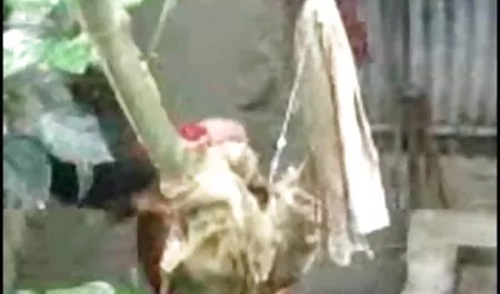 परिपक्व सेक्सी एक्स एक्स पिक्चर तुरन्त युवा प्रेमियों के दो सदस्यों को मारा ।