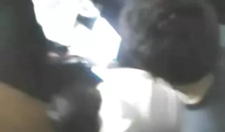 मित्रवत छेद एक बड़ा मुर्गा सेक्सी पिक्चर लाइव के व्यास के लिए उपयोग किया जाता है