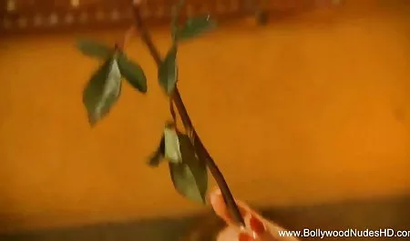 बहस करने के क्रम में नहीं, युवा सेक्सी पिक्चर भोजपुरी में लोगों को यौन संबंध
