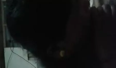 पतला, गुदा, लड़कियां, टीन, हार्डकोर, लूट, सेक्सी पिक्चर वीडियो में सेक्सी पिक्चर श्यामला, असभ्य