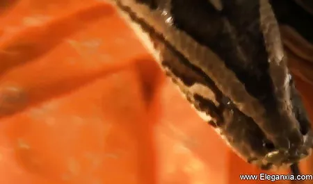 मुंह में परिपक्व गधा सेक्सी पिक्चर पूरी वेश्या